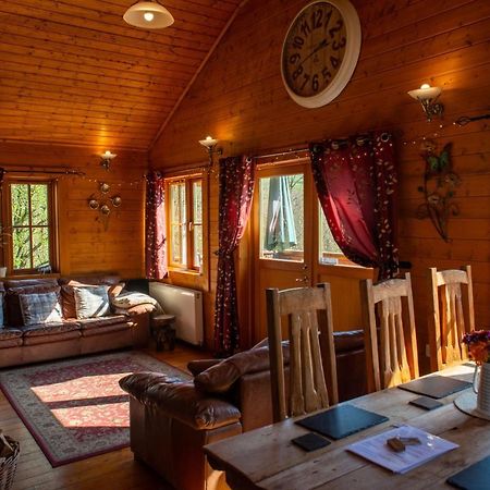 George Cabin - Log Cabin In Wales With Hot Tub Ньютаун Экстерьер фото