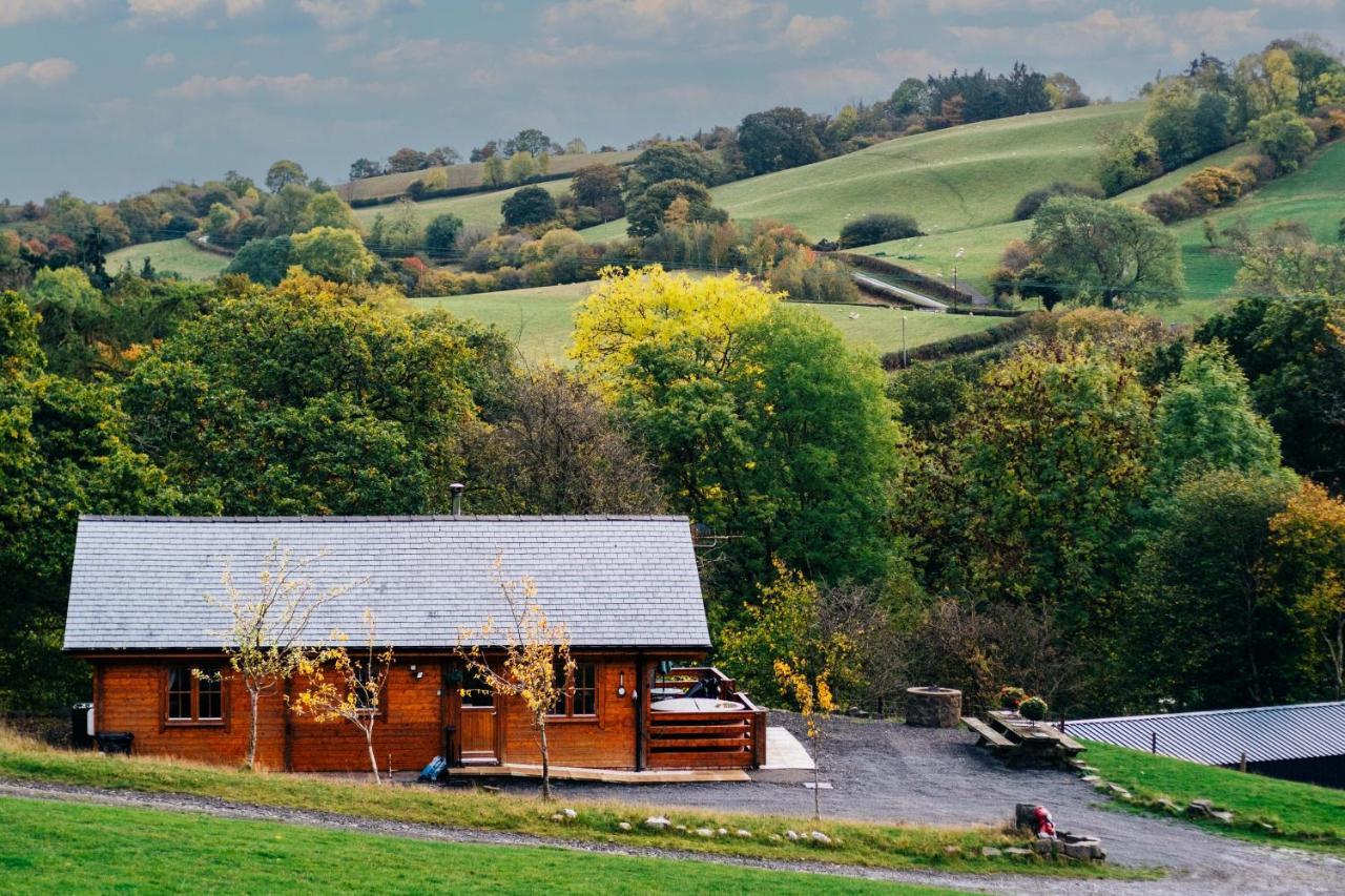 George Cabin - Log Cabin In Wales With Hot Tub Ньютаун Экстерьер фото
