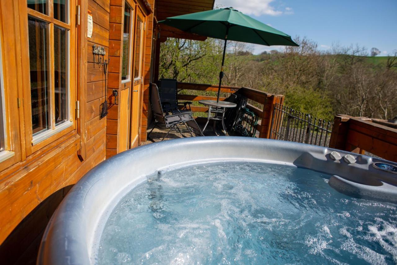George Cabin - Log Cabin In Wales With Hot Tub Ньютаун Экстерьер фото