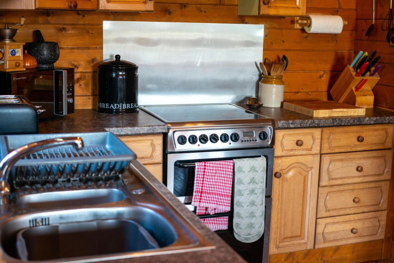 George Cabin - Log Cabin In Wales With Hot Tub Ньютаун Экстерьер фото