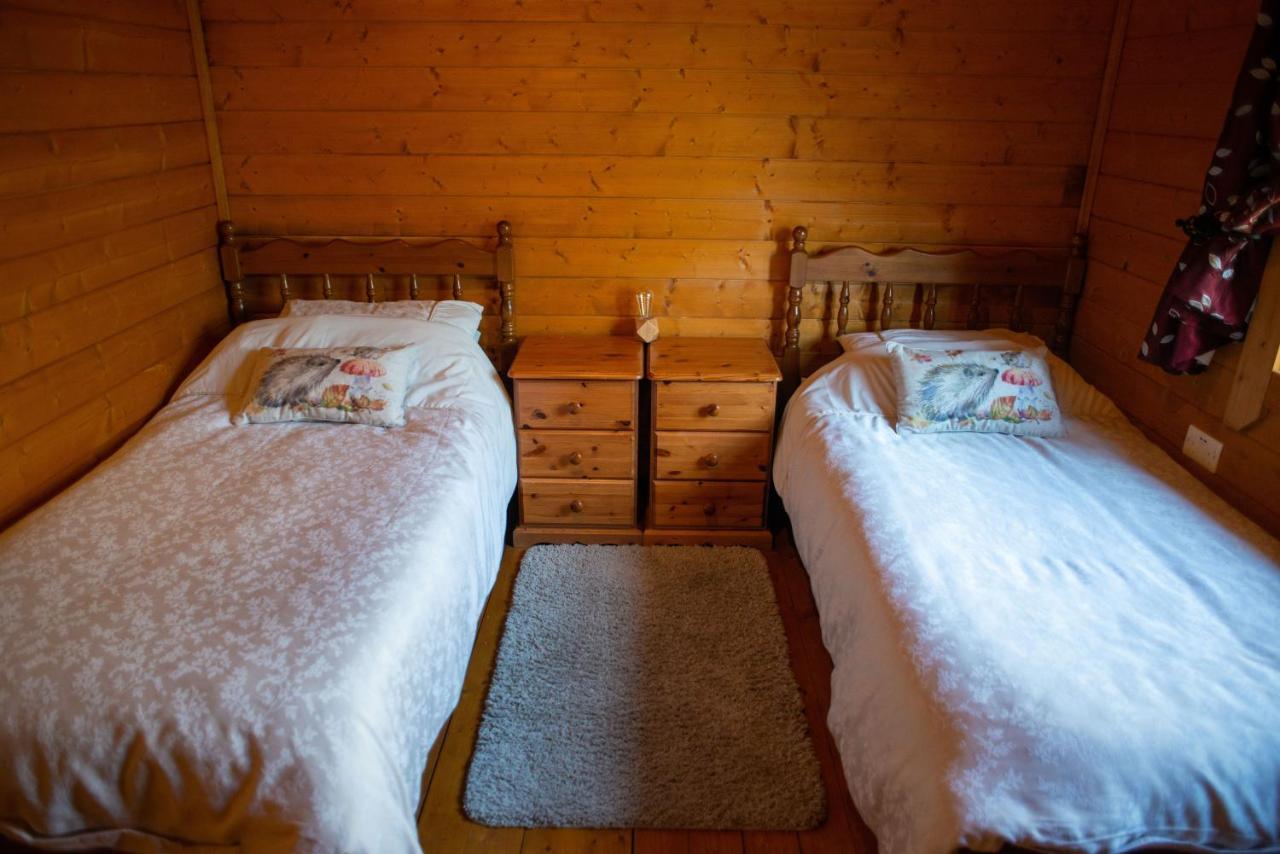 George Cabin - Log Cabin In Wales With Hot Tub Ньютаун Экстерьер фото