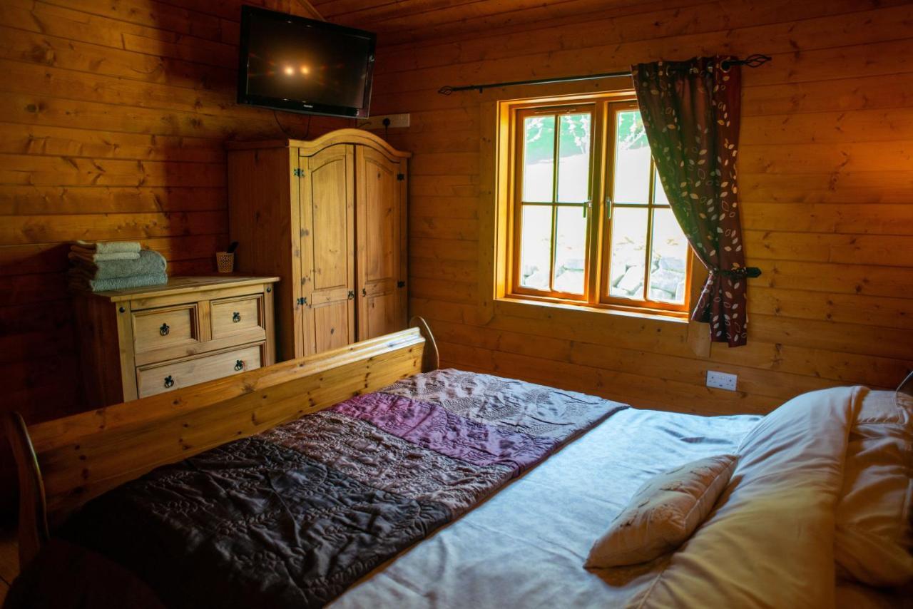 George Cabin - Log Cabin In Wales With Hot Tub Ньютаун Экстерьер фото